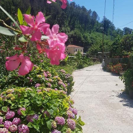 Вілла Casa Nonna Anna Майорі Екстер'єр фото